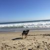 bradwolfe